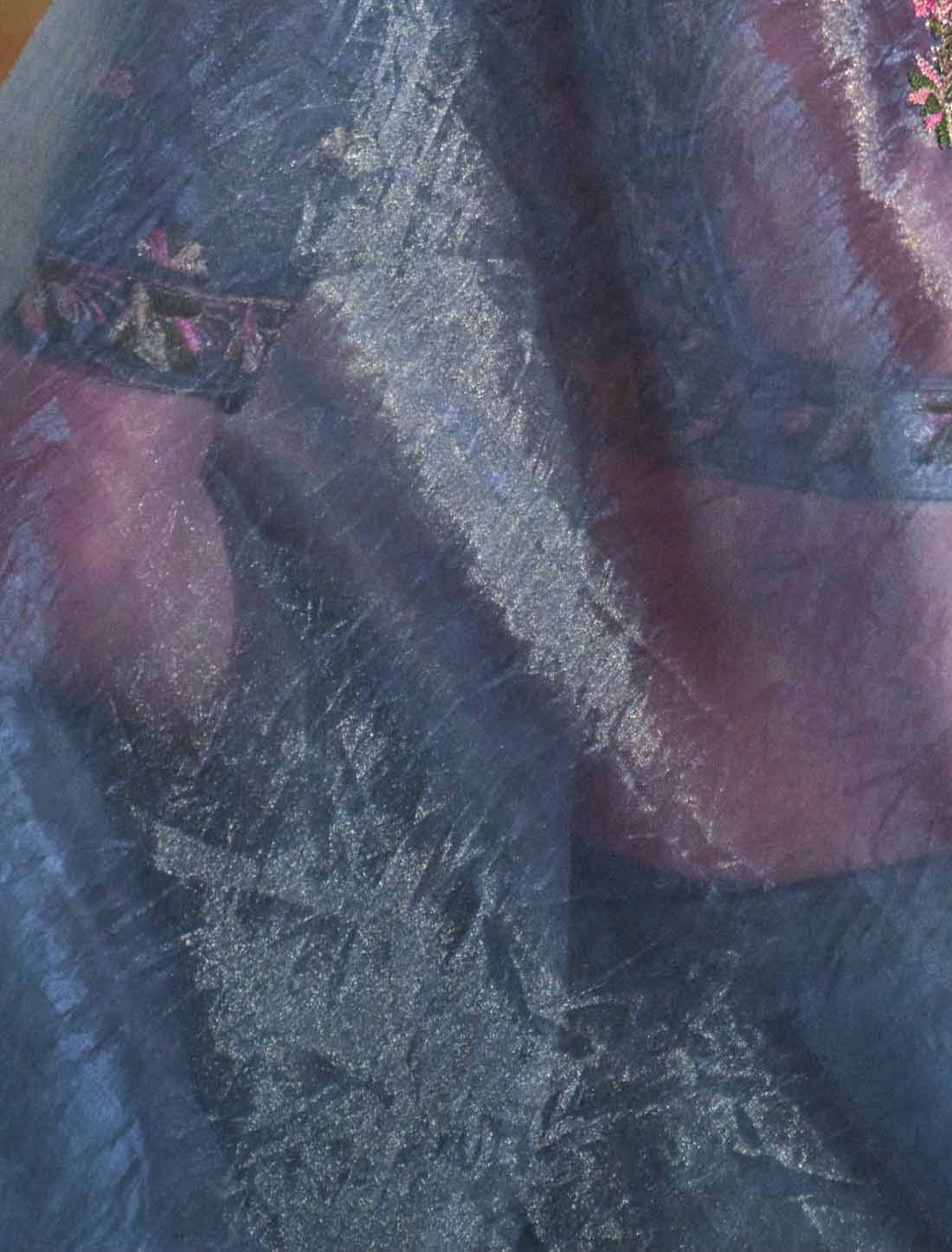 Ethnic Shine Grey Soft Tissue Multi Thread Embroidery Saree