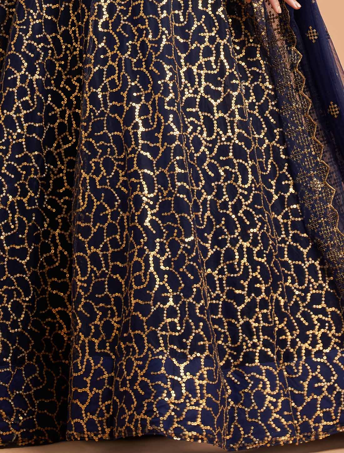 Blue Soft Net Zari Badal An Dori Thread Embroidery Ethnic Lehenga Choli