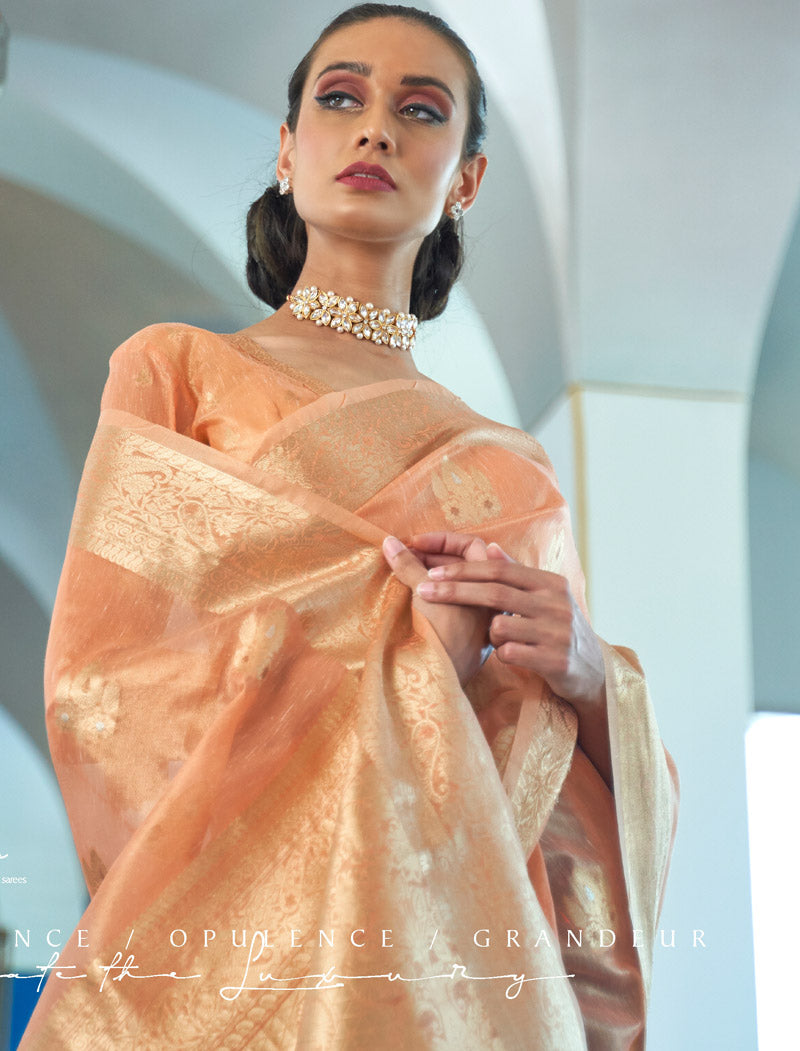 Zari Orgenza Weaving with Printed Designer Sarees | befashionate
