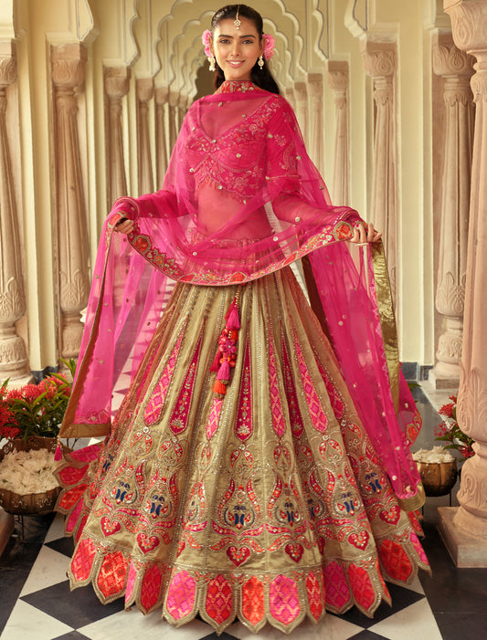 Pink & Grey Silk Embroidery Cut Border Weaving Butti Art Lehenga Choli
