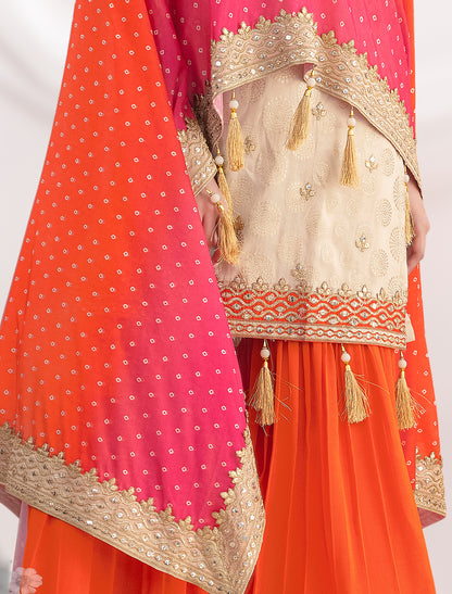 Freesize Sharara Set – Mirror Embroidery (Up to XL)