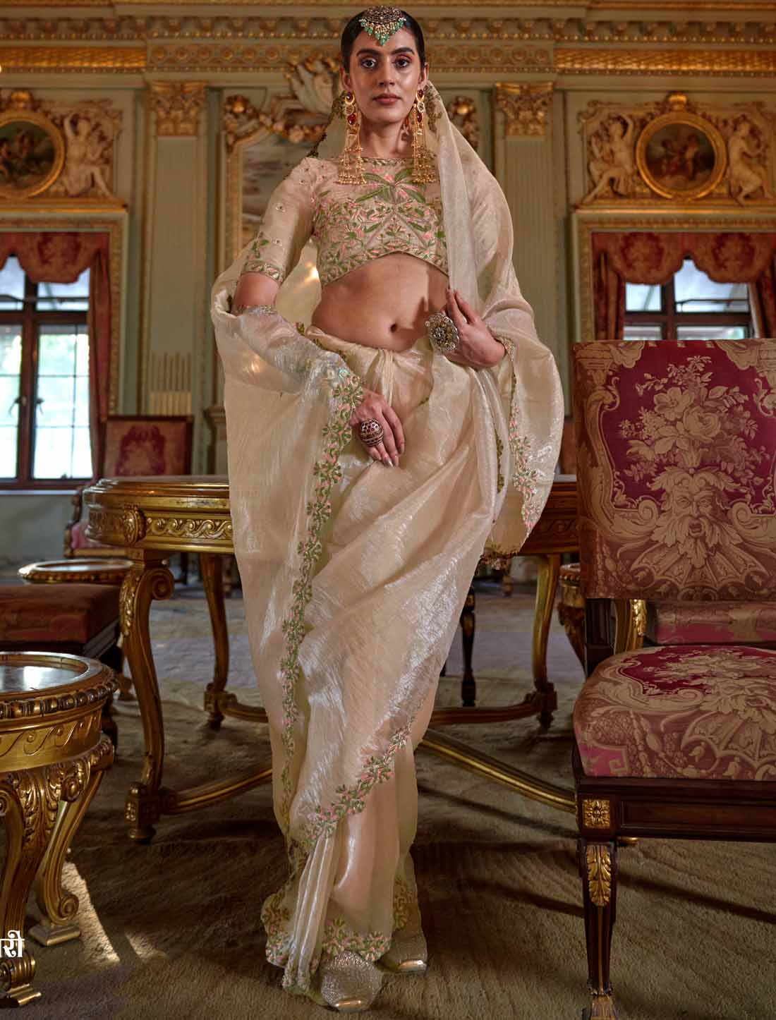 Light Cream Soft Tissue Ethnic Multi Thread Embroidery Work Saree