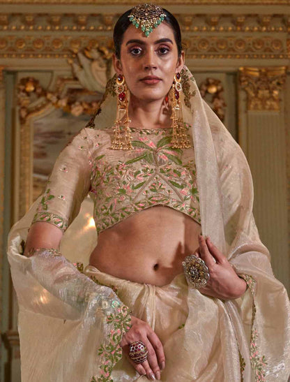 Light Cream Soft Tissue Ethnic Multi Thread Embroidery Work Saree