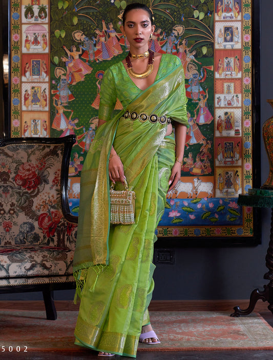 Enchanting Two Tone Organza Value Added Sequins Handloom Weaving Saree
