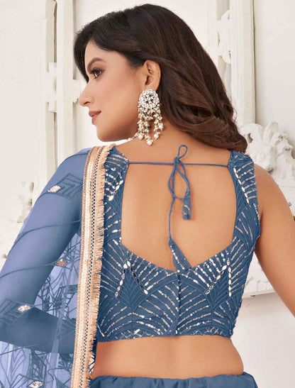 Blue Butterfly Net Embroidery Semi-Stitched Ethnic Lehenga Choli