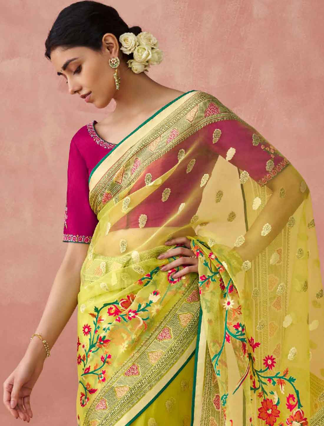 Ethnic Soft Brasso Organza Elevate Printed Saree