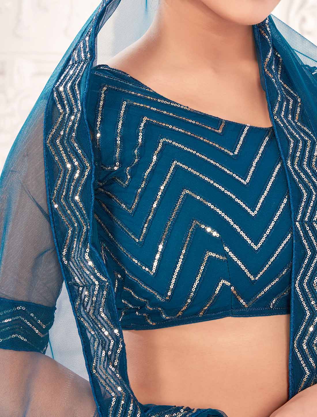 Navy Blue Net With Micro Inner Embroidered Ethnic Lehenga Choli