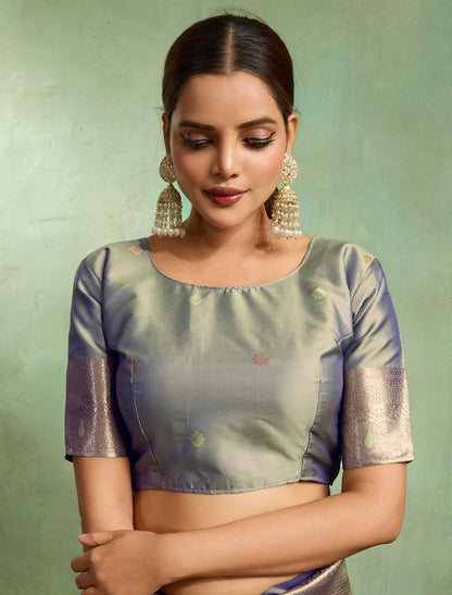 Grey Dual Tone Banarasi Silk Party Wear Saree With Embellishments