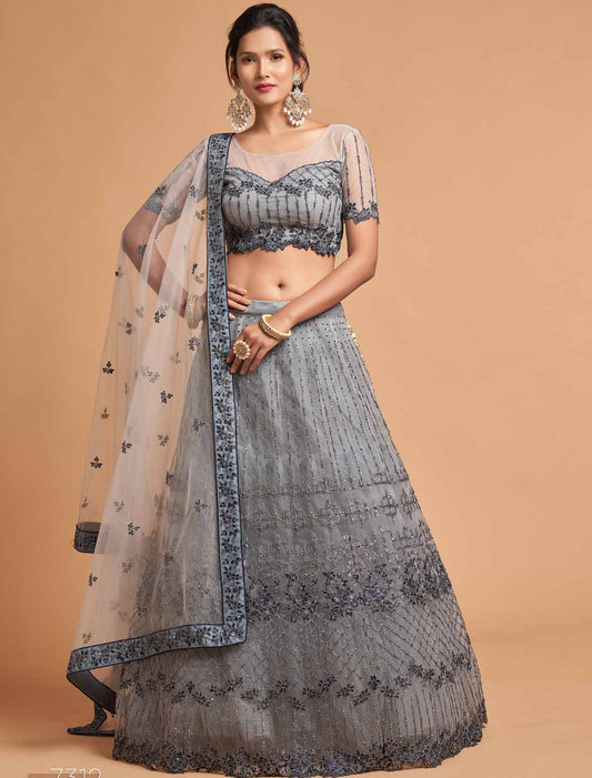 Grey Soft Net Zari Badal Dori Thread Embroidery Ethnic Lehenga Choli