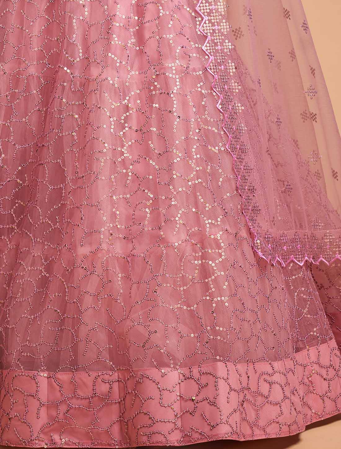 Blush Pink Ethnic Soft Net Zari Badal Dori Thread Embroidery Lehenga Choli