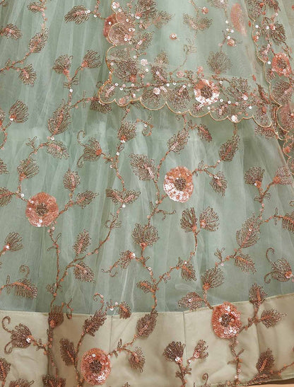Sky Blue Soft Net Zari Badal Dori Thread Embroidery Ethnic Lehenga Chol