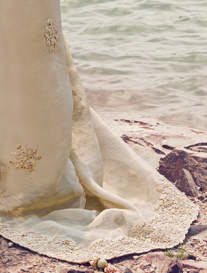 Elegant Beige Tissue Silk Saree with Jacquard, Designer Party Wear