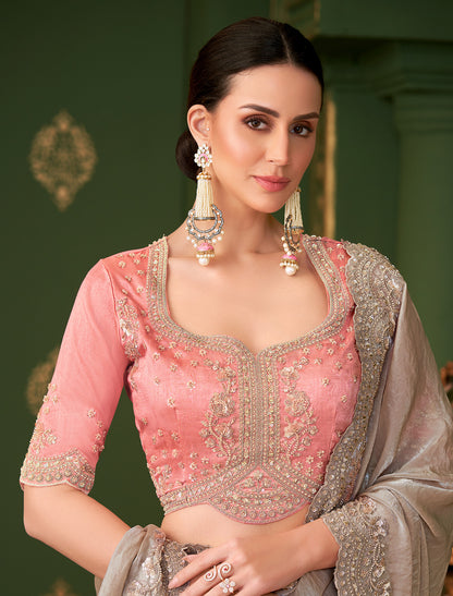 Chikoo Sartin Georgette Silk Party Wear Designer Saree