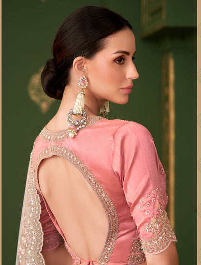 Chikoo Sartin Georgette Silk Party Wear Designer Saree