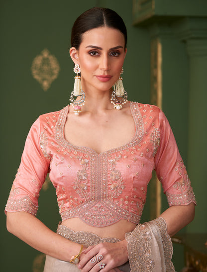 Chikoo Sartin Georgette Silk Party Wear Designer Saree
